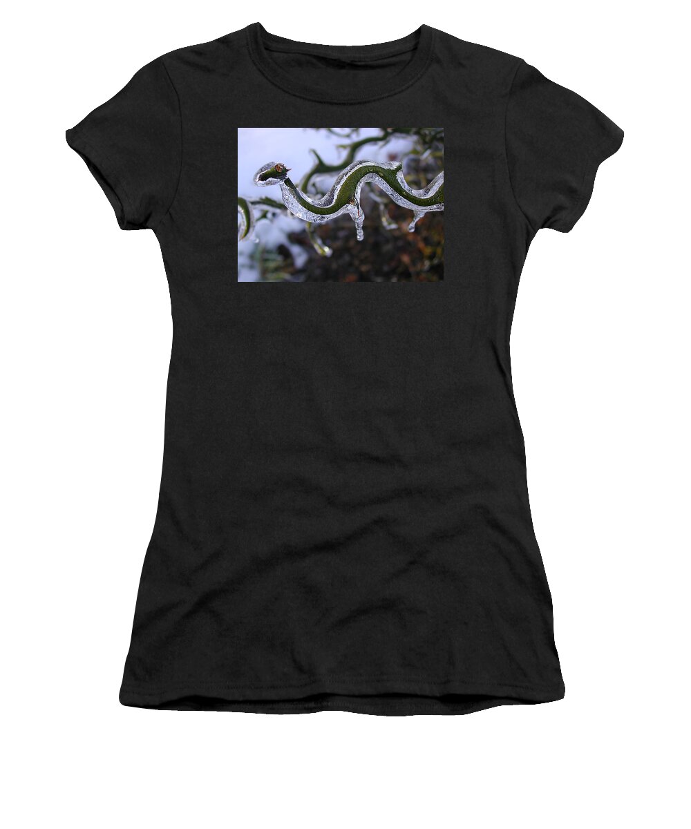 Tree Women's T-Shirt featuring the photograph Flying Dragon by Mike Kling