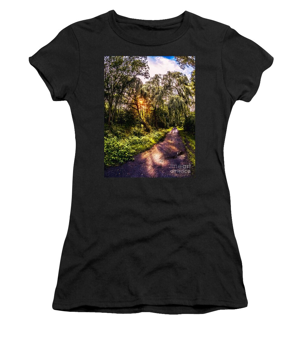 Forest Women's T-Shirt featuring the photograph Forest track by Daniel Heine