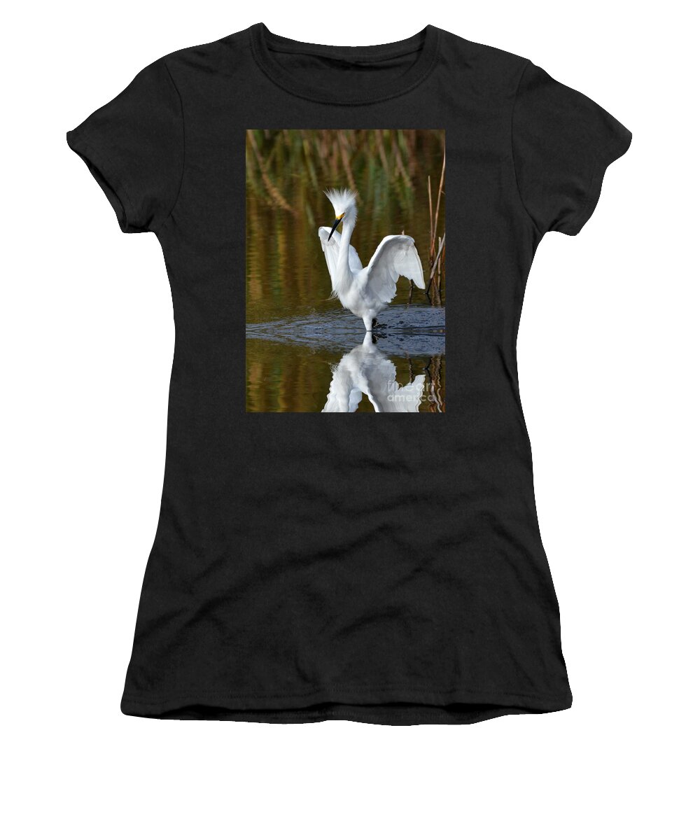 Egrets Women's T-Shirt featuring the photograph Frazzled by Kathy Baccari