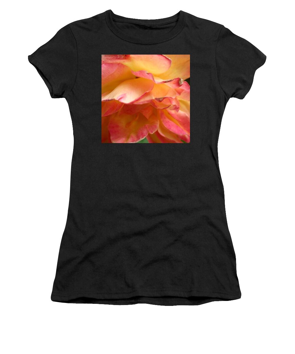 Global_nature Women's T-Shirt featuring the photograph Frilly - Lady Diana Rose From My Summer by Anna Porter