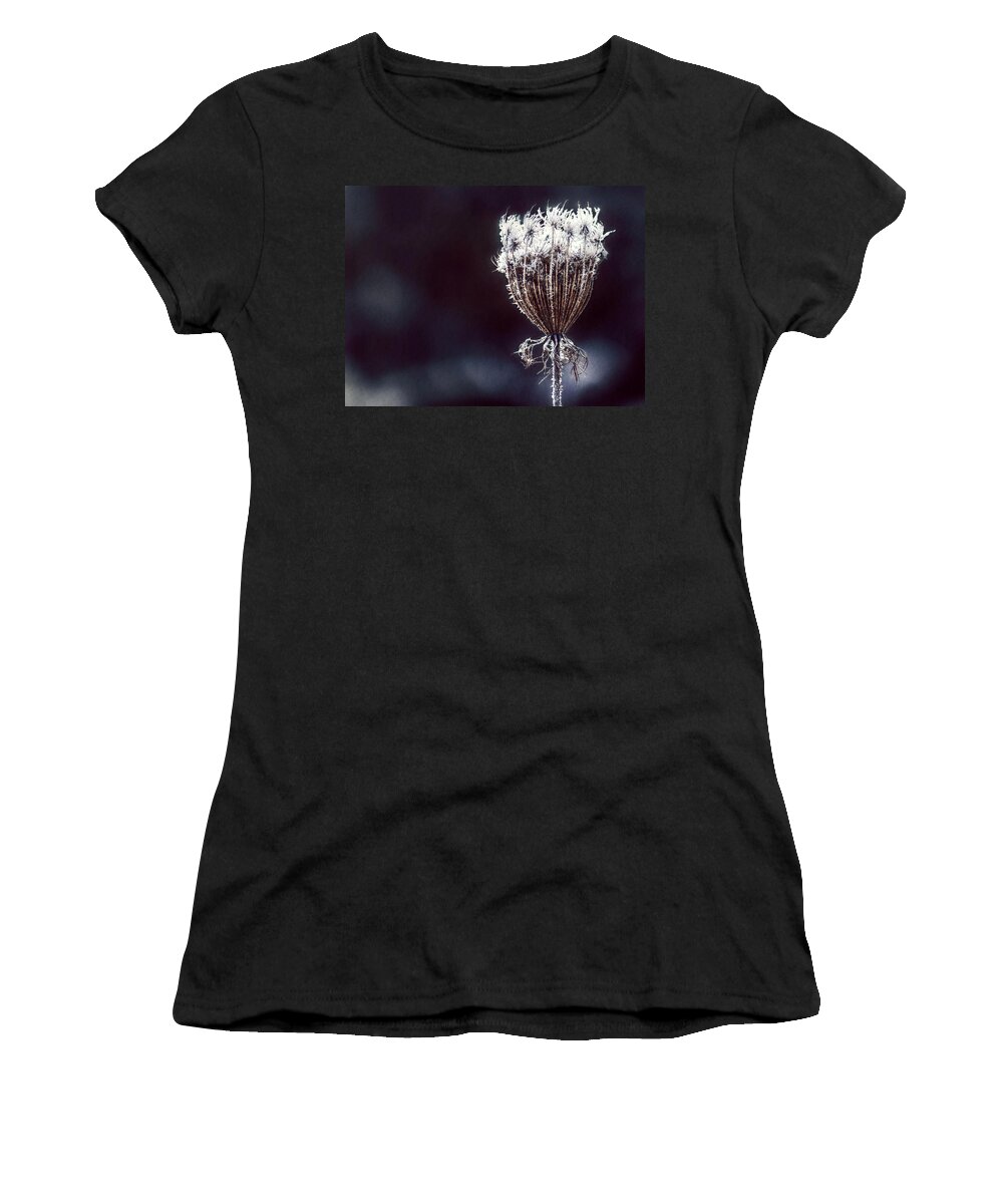 Queen Anne's Lace Women's T-Shirt featuring the photograph Frozen Wisps by Melanie Lankford Photography