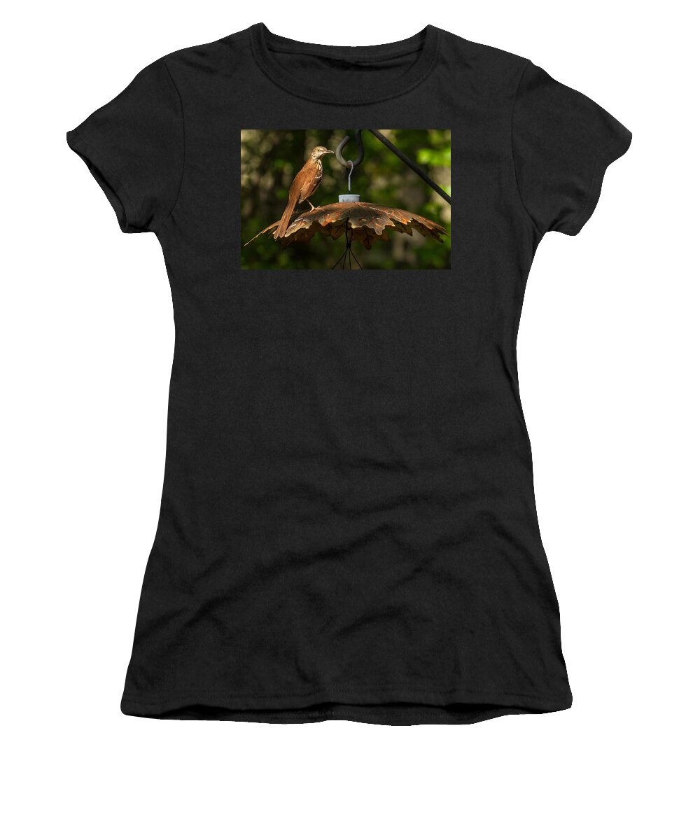 Brown Thrasher Women's T-Shirt featuring the photograph Georgia State Bird - Brown Thrasher by Robert L Jackson