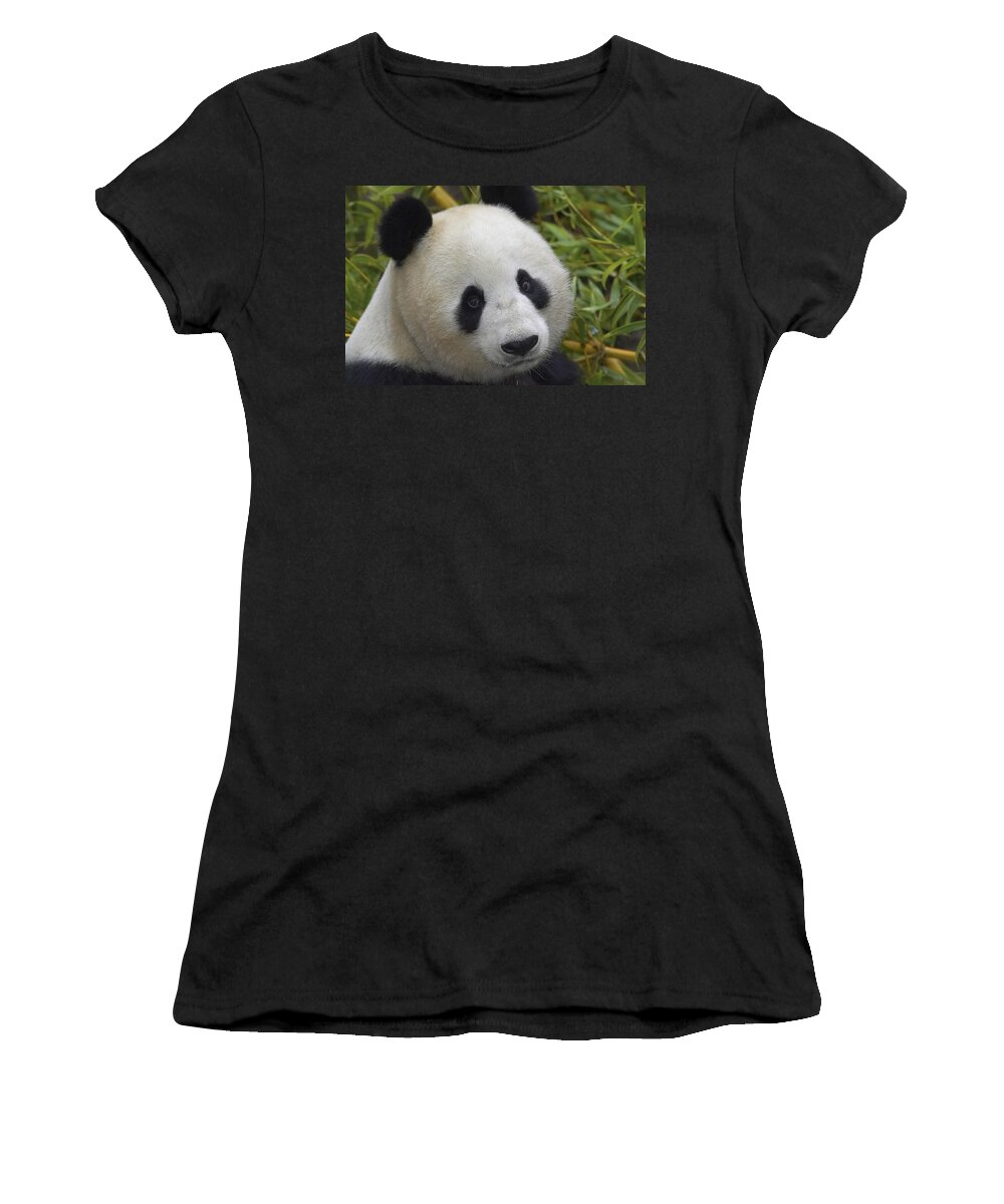Feb0514 Women's T-Shirt featuring the photograph Giant Panda Portrait by San Diego Zoo