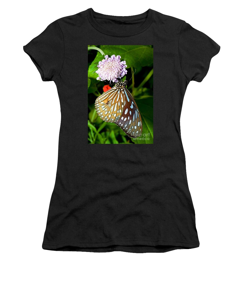 Nature Women's T-Shirt featuring the photograph Glassy Blue Tiger Butterfly by Millard H. Sharp