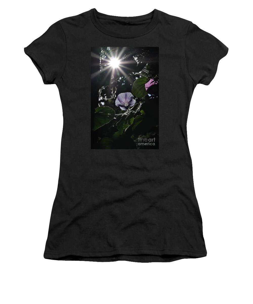 Morning Glory Women's T-Shirt featuring the photograph Glorious by Cheryl Baxter