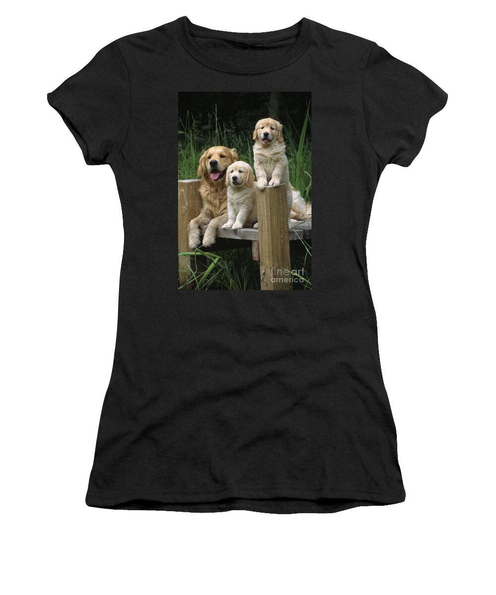 Golden Retriever Women's T-Shirt featuring the photograph Golden Retriever Dog With Puppies by John Daniels