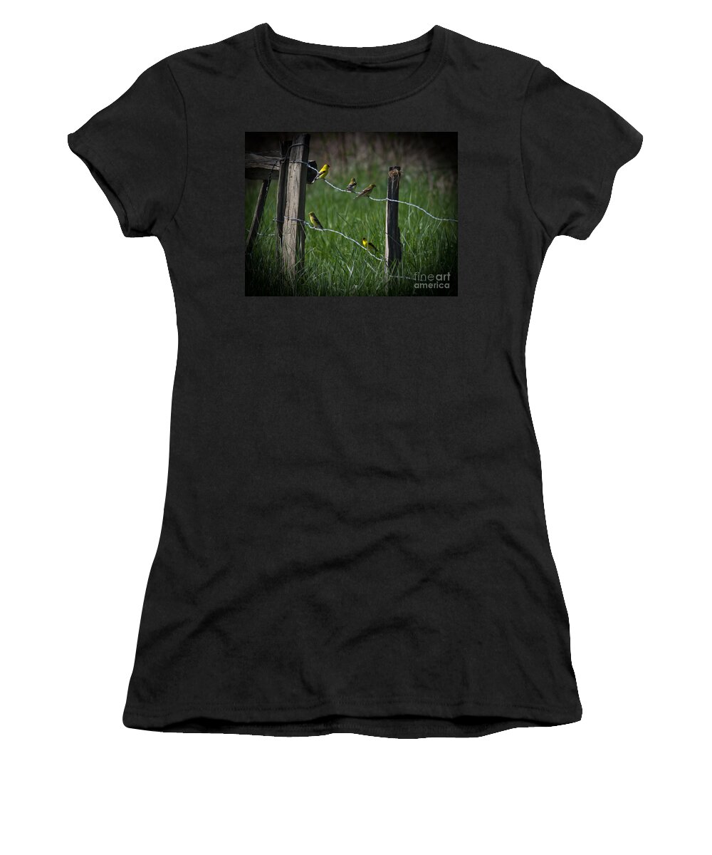 Goldfinch Women's T-Shirt featuring the photograph Goldfinch Gathering by Douglas Stucky