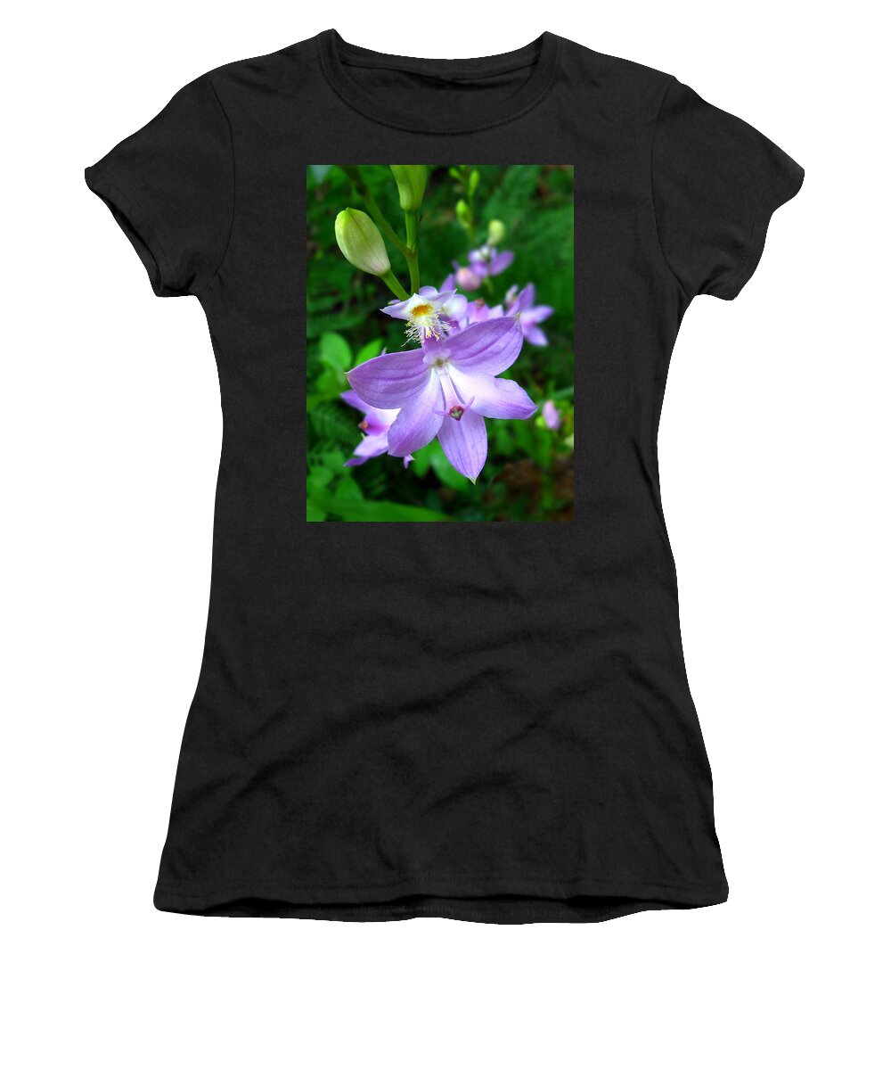 Calopogon Tuberosus Women's T-Shirt featuring the photograph Grass Pink Orchid by William Tanneberger