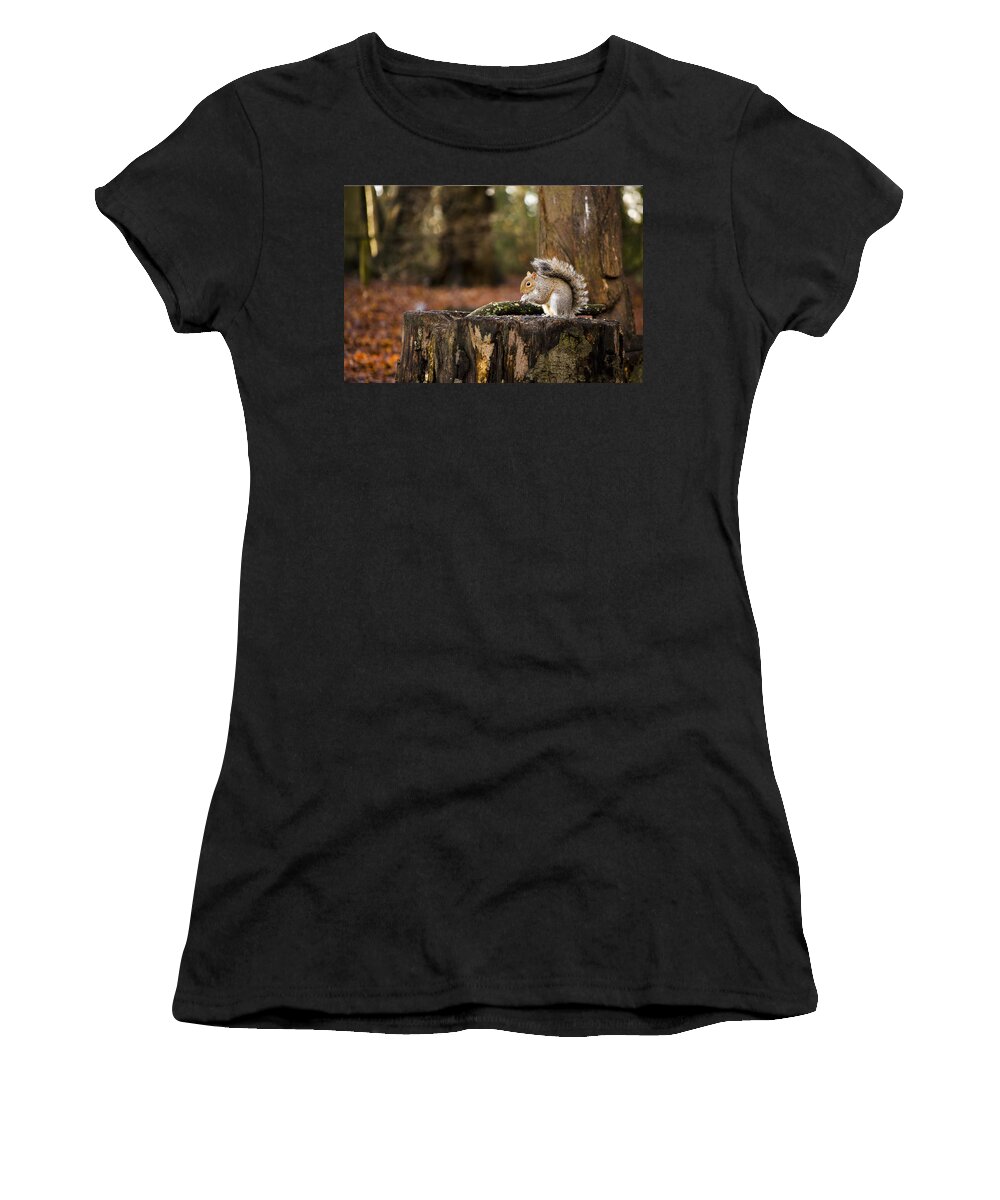 Squirrel Women's T-Shirt featuring the photograph Grey Squirrel on a Stump by Spikey Mouse Photography