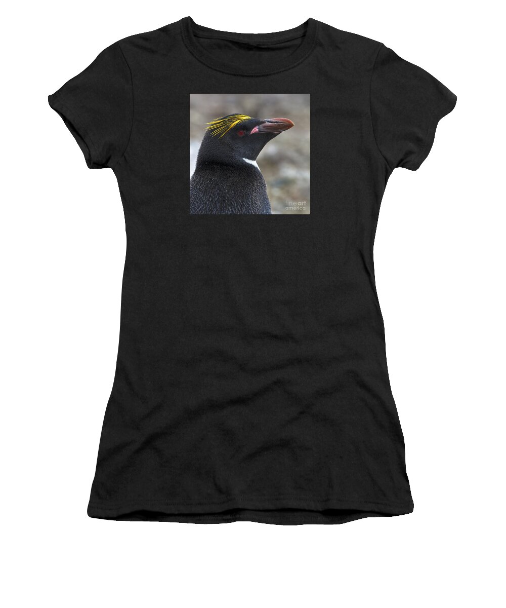 Festblues Women's T-Shirt featuring the photograph Handsome Blonde... by Nina Stavlund