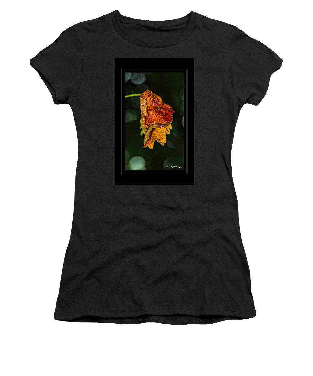 Fall Leaves Photograph Women's T-Shirt featuring the photograph Hanging Gold framed by Lucy VanSwearingen
