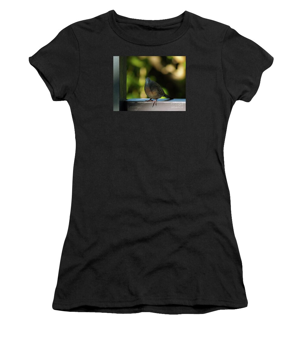 Dove Photography Women's T-Shirt featuring the photograph Hawaiian Mourning Dove by Patricia Griffin Brett