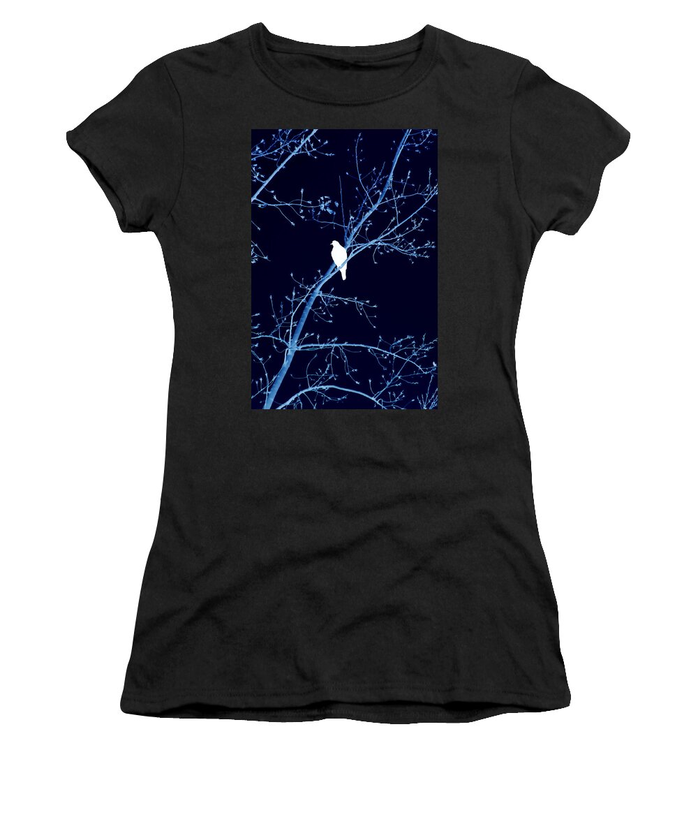 Bird Women's T-Shirt featuring the mixed media Hawk Silhouette on Blue by Lesa Fine