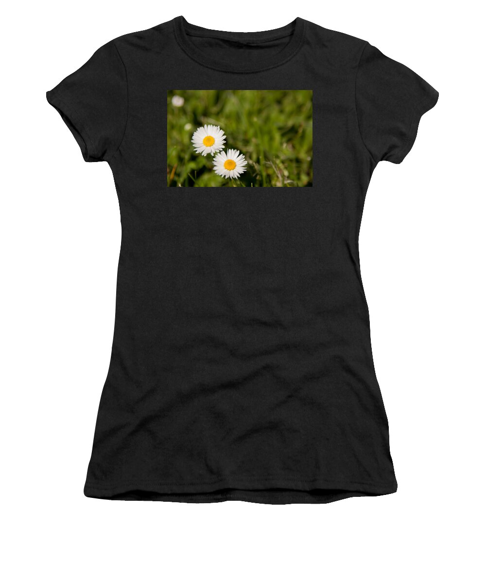 Daisy Women's T-Shirt featuring the photograph He Loves Me He Loves Me Not by Courtney Webster