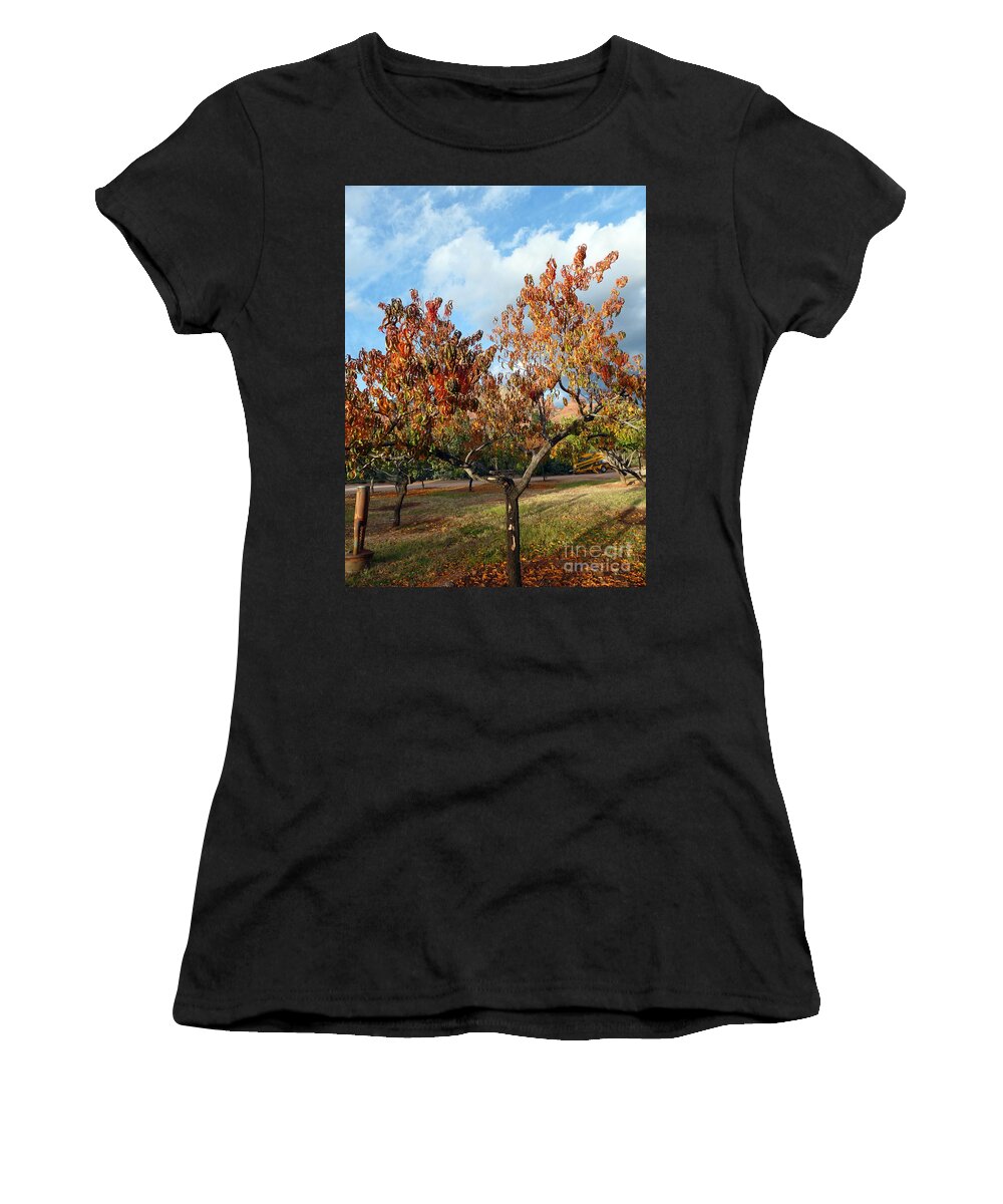 Heart Women's T-Shirt featuring the photograph Heart Autumn Tree by Mars Besso