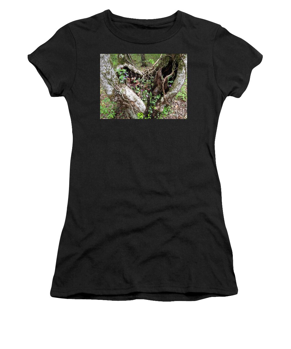 Trees Women's T-Shirt featuring the photograph Heart-shaped Tree by Jan Dappen