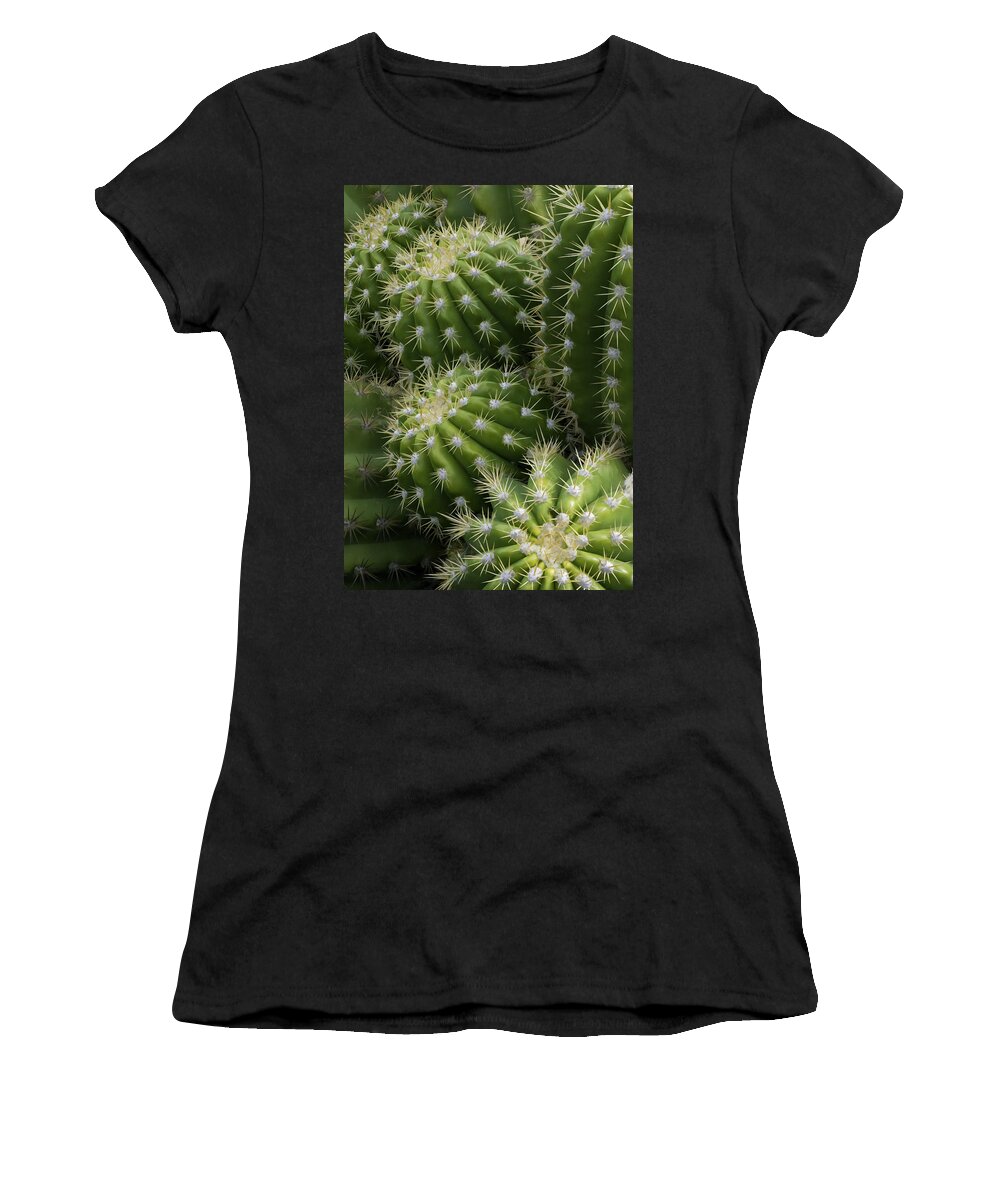 Hedgehog Cactus Women's T-Shirt featuring the photograph Hedgehog Cactus Echinopsis by Ram Vasudev