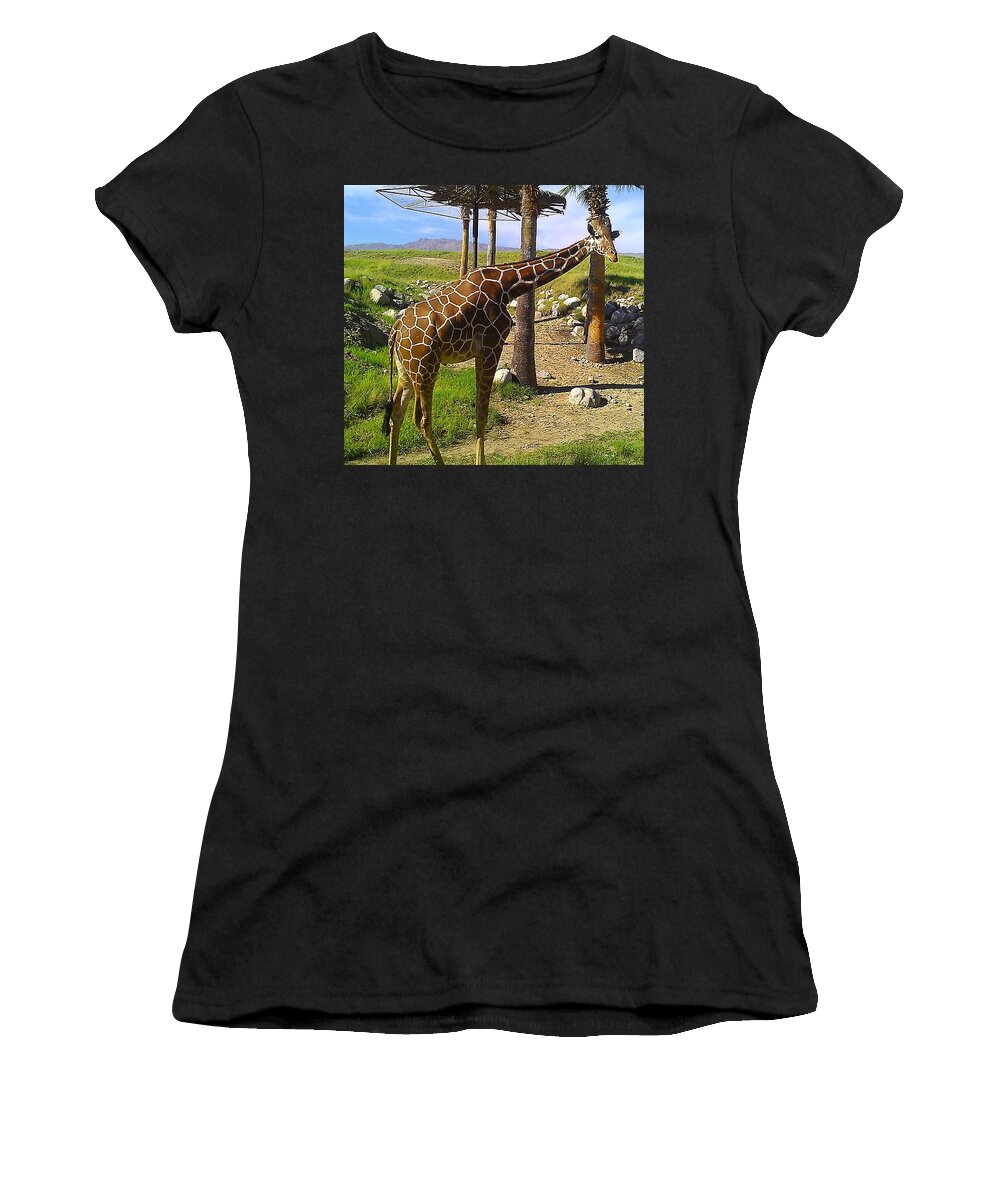 Animal Women's T-Shirt featuring the photograph Hello There by Chris Tarpening
