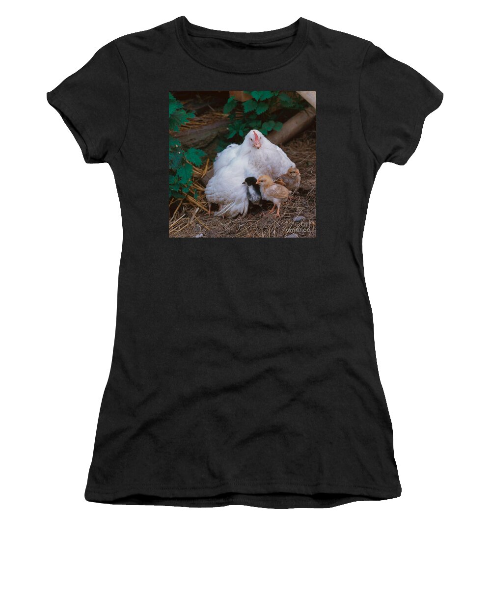 Chicken Women's T-Shirt featuring the photograph Hen With Chicks by Hans Reinhard