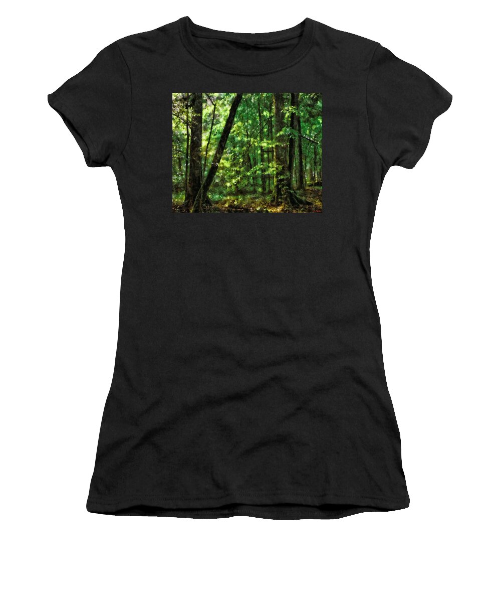 Graphic Women's T-Shirt featuring the painting Hidden Places by Joe Misrasi