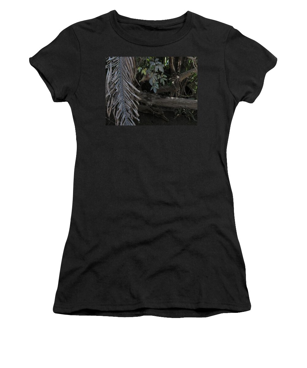 Capuchin Women's T-Shirt featuring the photograph Hiding by Jessica Myscofski