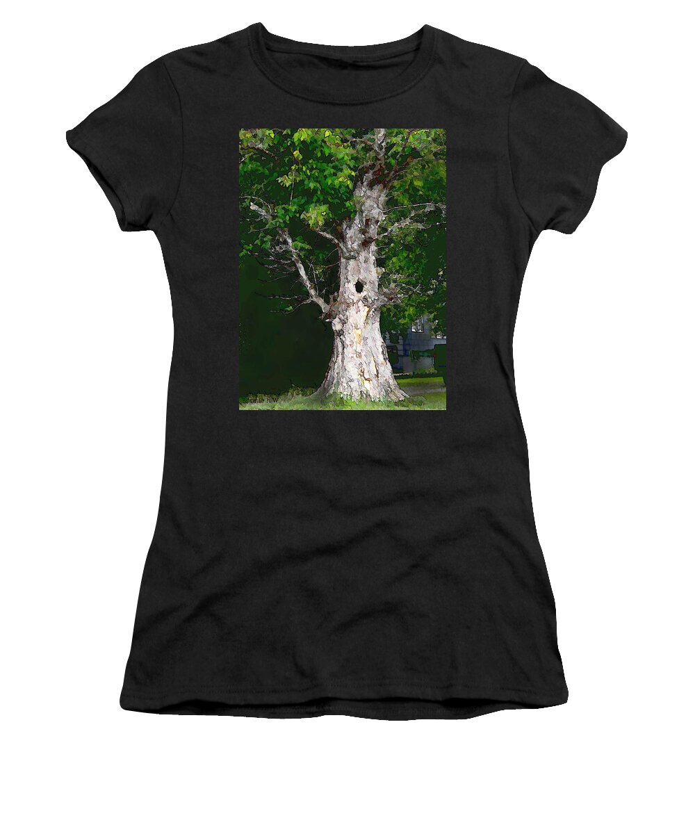 Tree Women's T-Shirt featuring the photograph Hole in Tree by Bonnie Willis