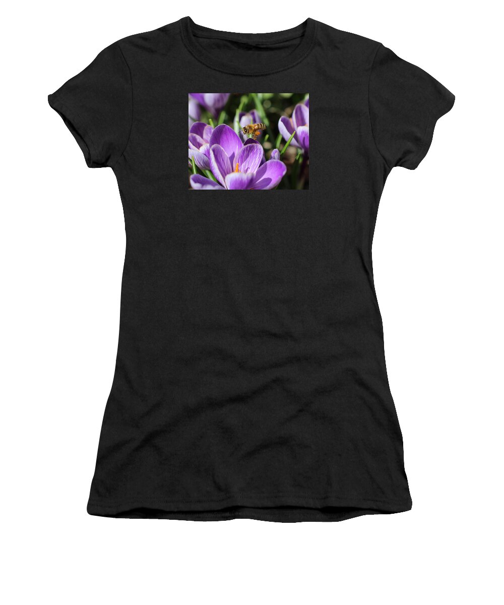 Honeybee Women's T-Shirt featuring the photograph Honeybee Flying Over Crocus by Lucinda VanVleck