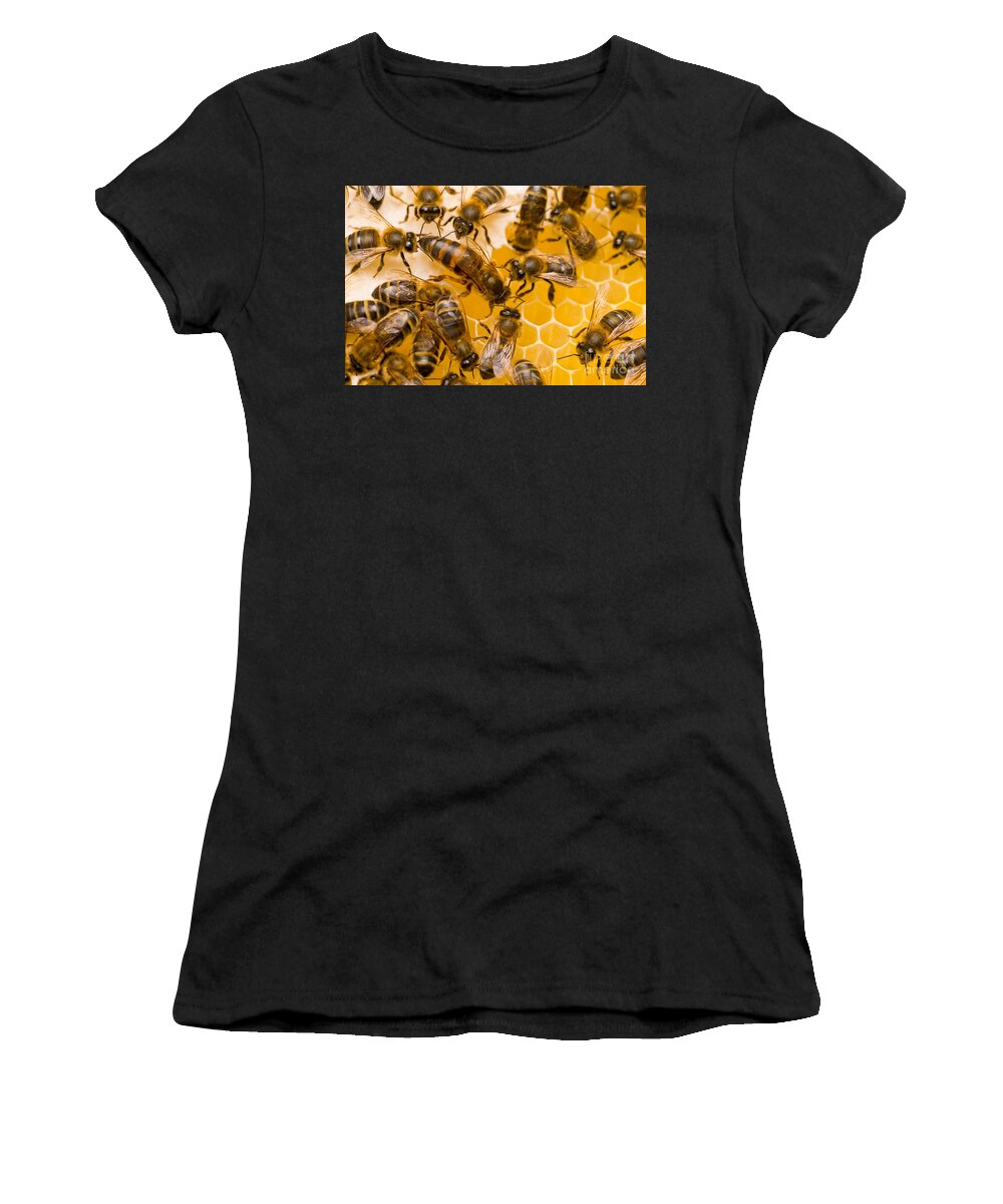 Honey Bees Women's T-Shirt featuring the photograph Honeybee Workers And Queen by Mark Bowler