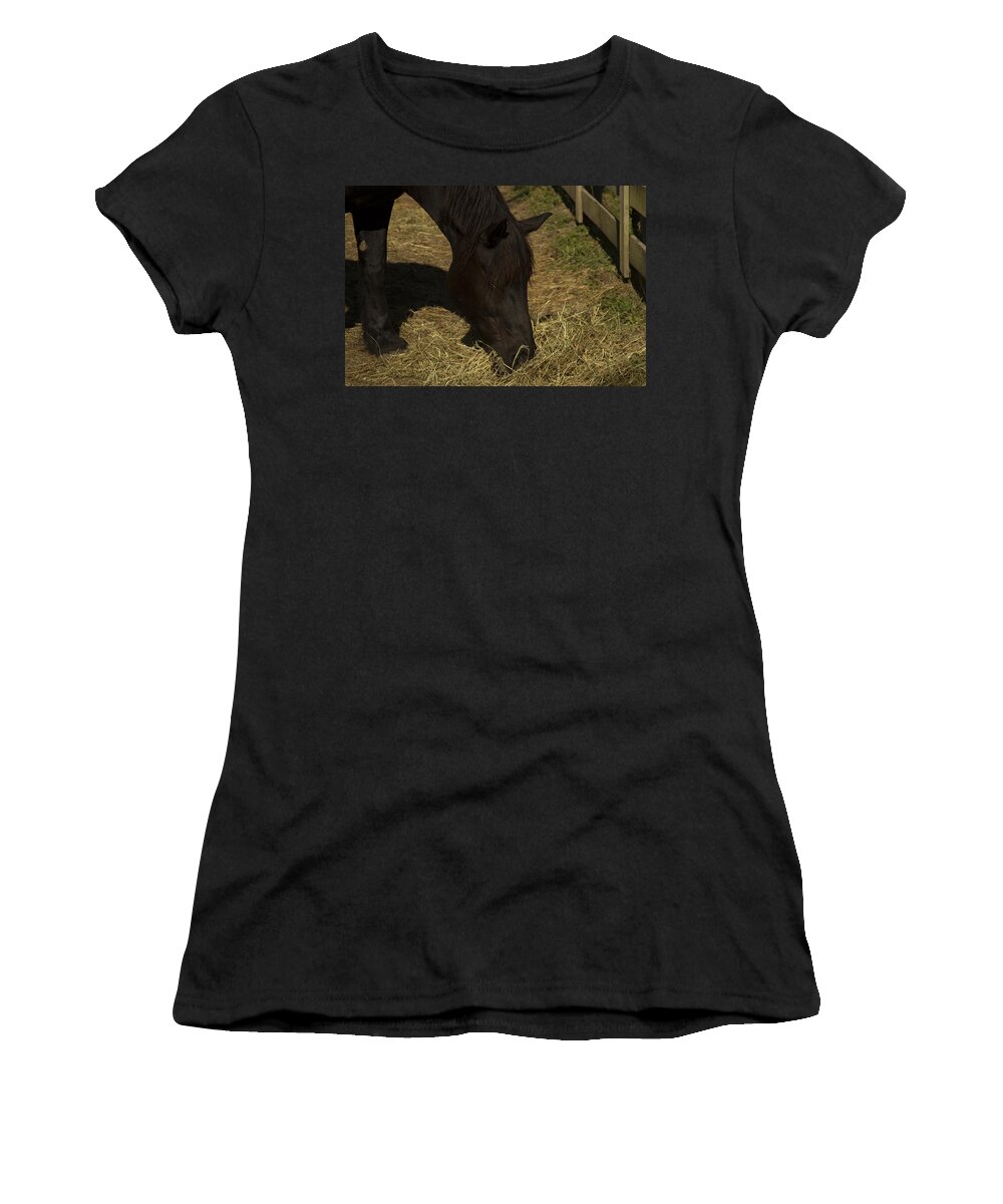 Dark Brown Horse Women's T-Shirt featuring the photograph Horse 34 by David Yocum