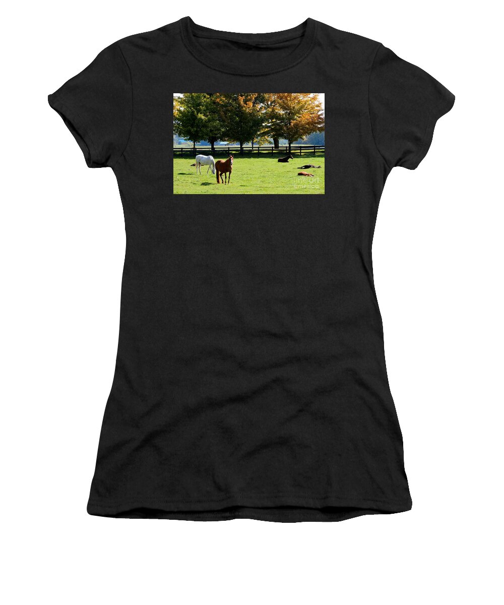 Horse Women's T-Shirt featuring the photograph Horses in Fall by Janice Byer