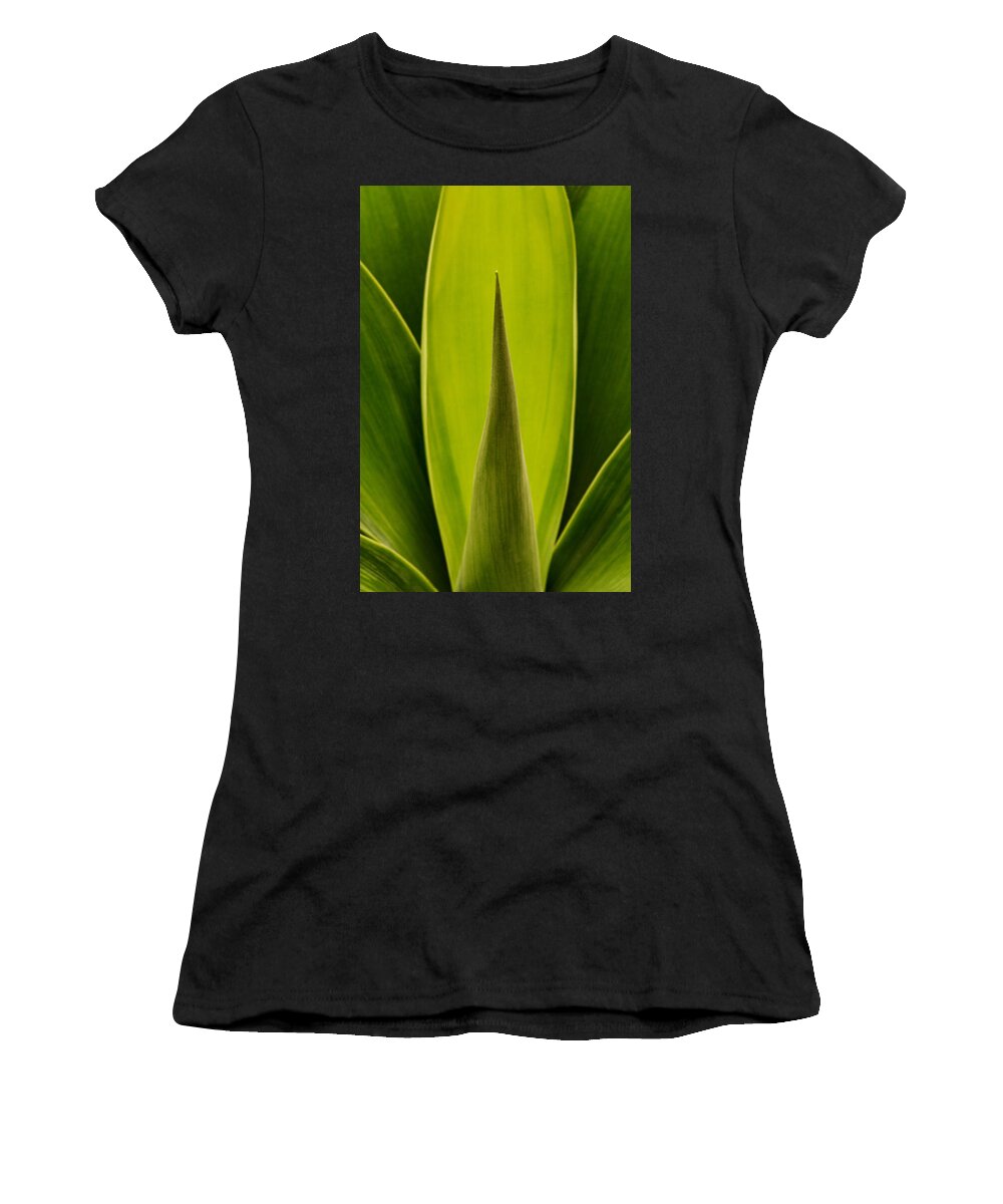 Plant Women's T-Shirt featuring the photograph House Plant by Robert Woodward