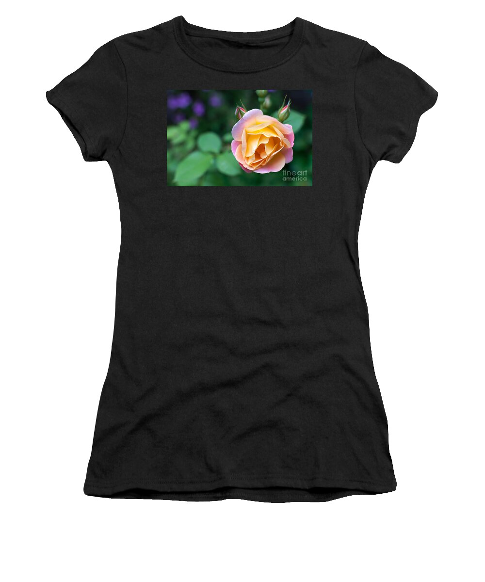 Garden Women's T-Shirt featuring the photograph Hybrid Tea Rose by Matt Malloy