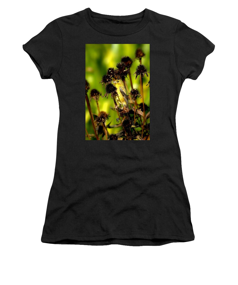 American Goldfinch Women's T-Shirt featuring the photograph I am a Flower Stalk Do You See Me by Carol Montoya