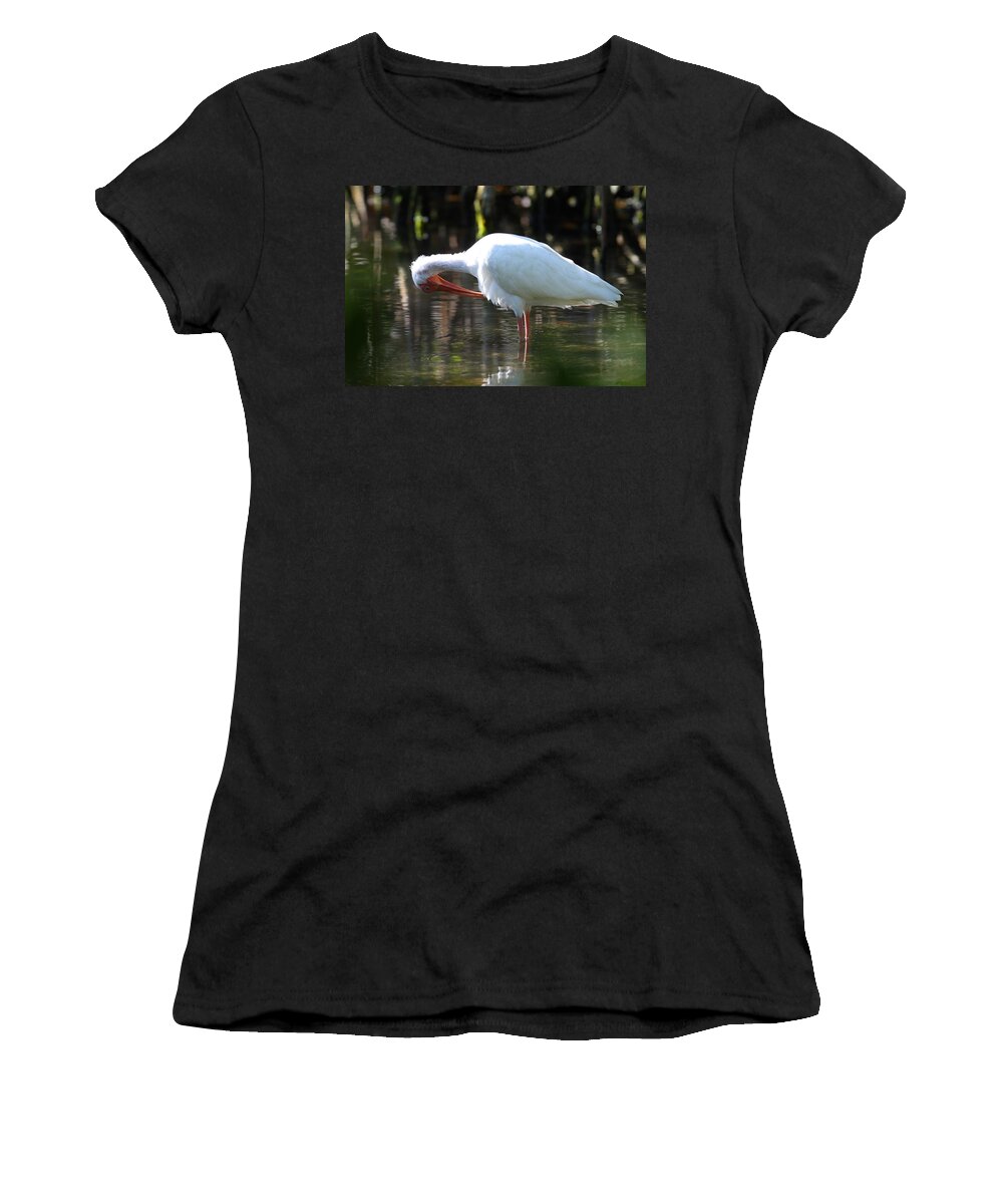 Ibis Preening Women's T-Shirt featuring the photograph Ibis Preening by Daniel Reed