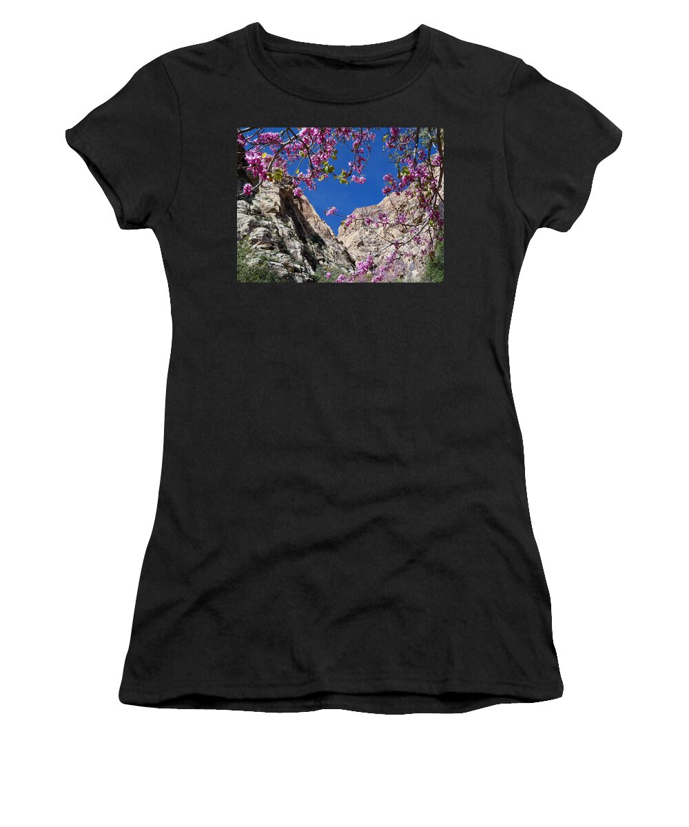 Icebox Women's T-Shirt featuring the photograph Ice Box Canyon in April by Alan Socolik