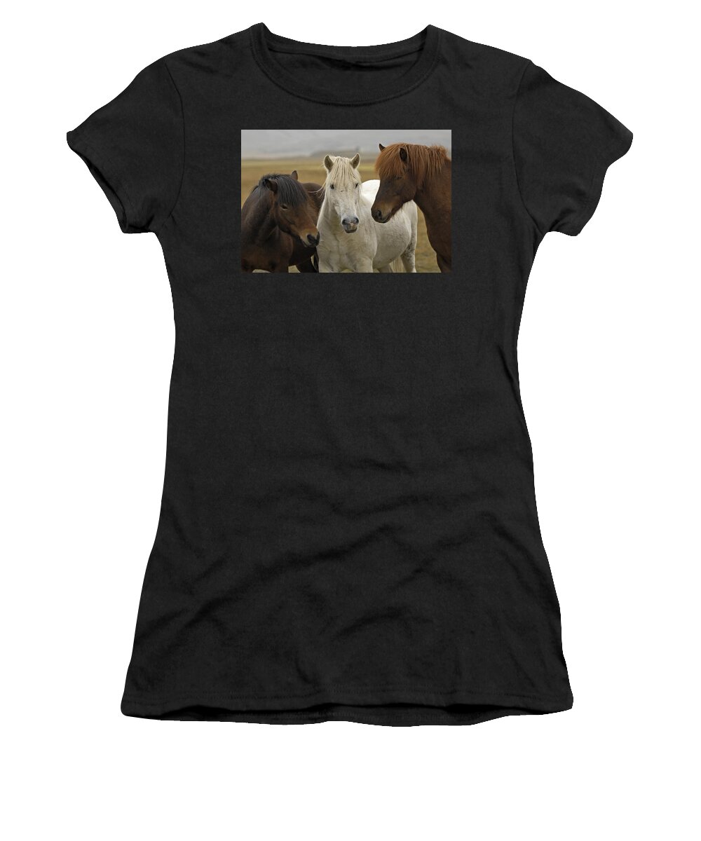 Animal Women's T-Shirt featuring the photograph Icelandic Horses by Claudio Bacinello
