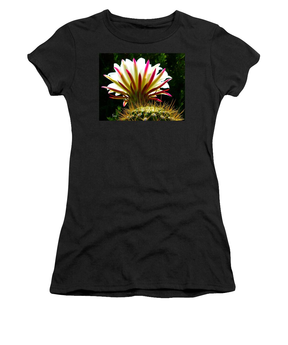 Cactus Women's T-Shirt featuring the photograph In the Morning Light by Barbara Zahno