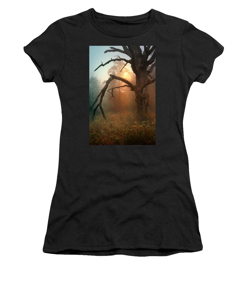 Landscape Women's T-Shirt featuring the photograph In the Stillness by Rob Blair