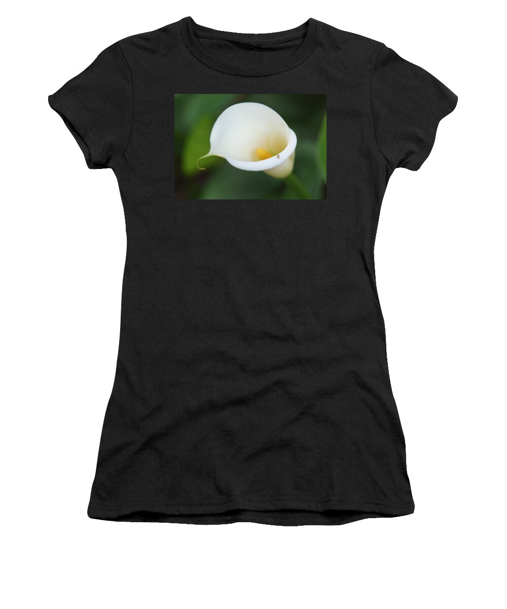 White Calla Lily Women's T-Shirt featuring the photograph Inching Along by Suzanne Gaff