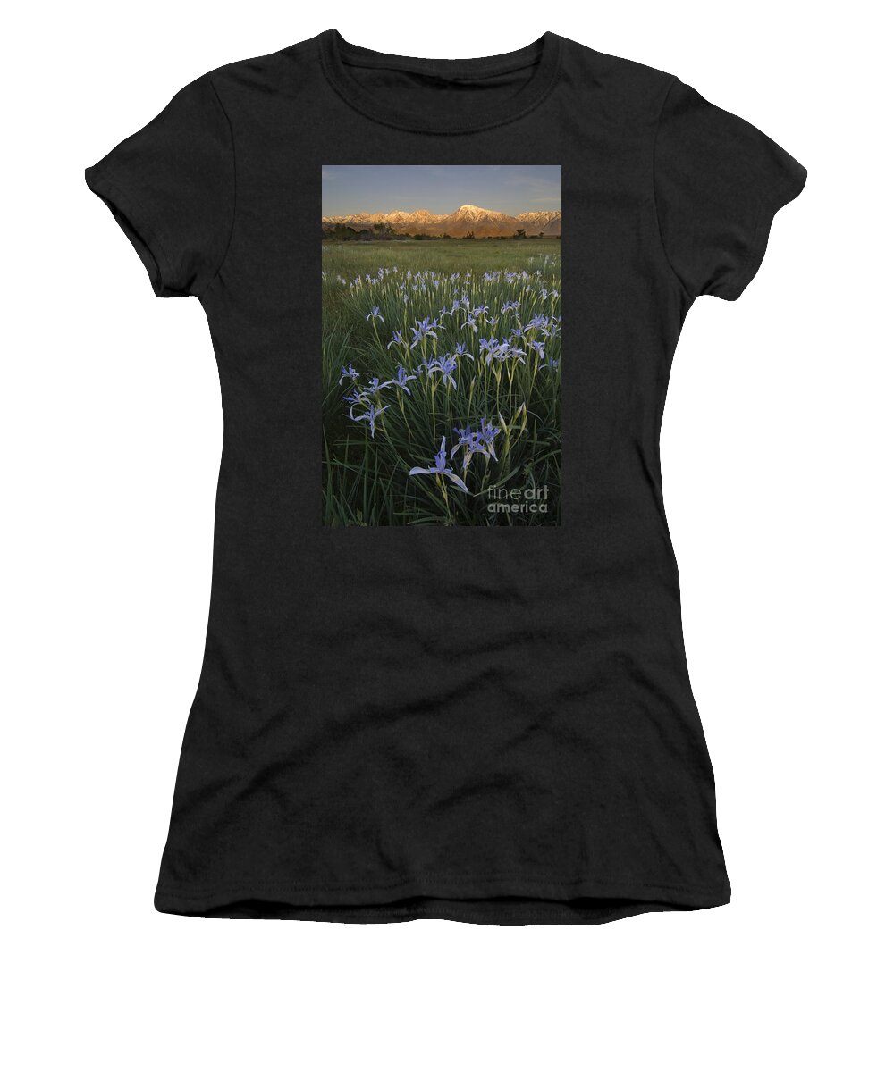 Plant Women's T-Shirt featuring the photograph Iris Field by John Shaw