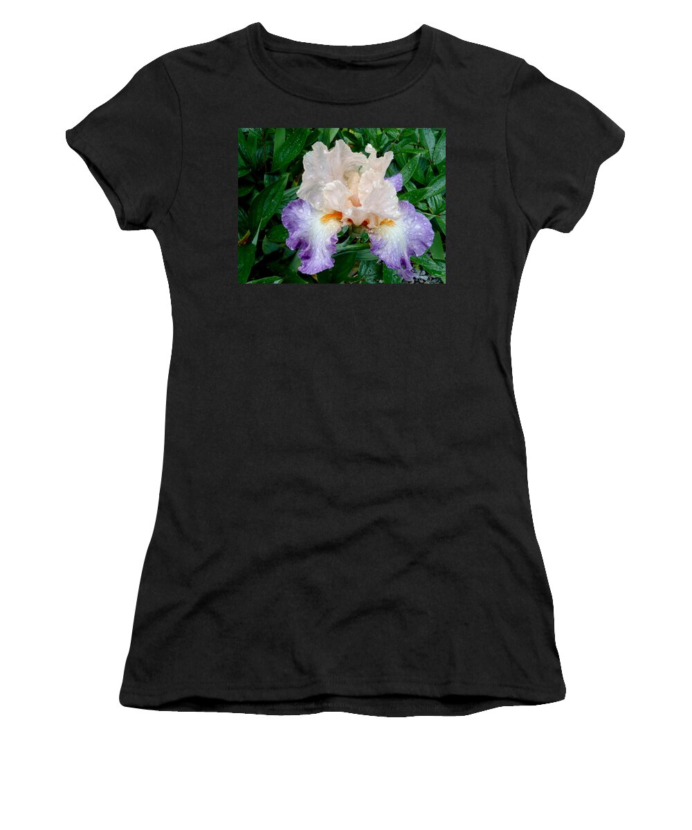 Irresistible Iris Women's T-Shirt featuring the photograph Irresistible Iris by Roxy Hurtubise