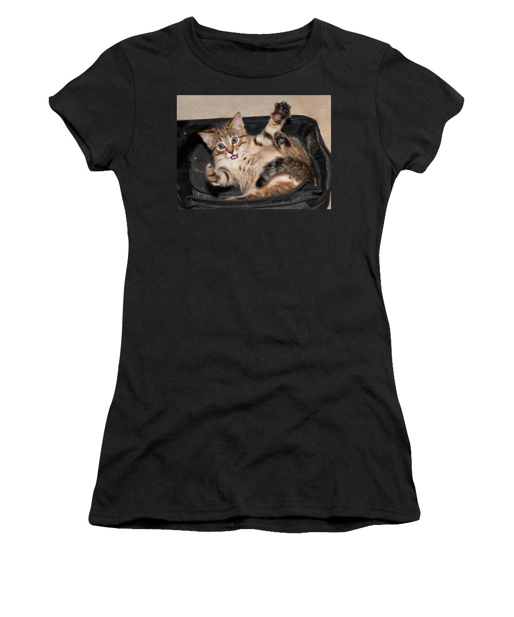 Kitten Women's T-Shirt featuring the photograph It was This Big by David Yocum