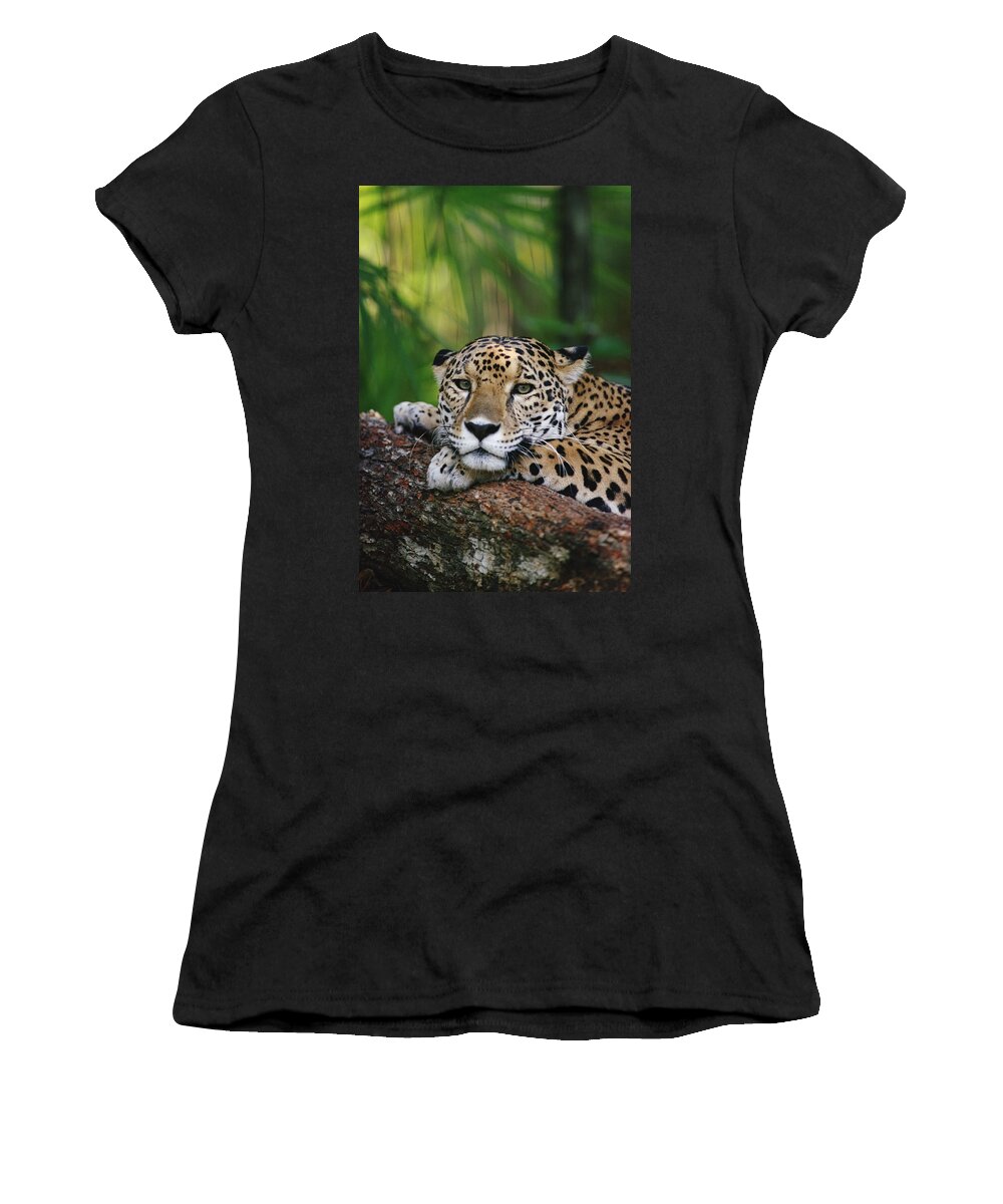 Feb0514 Women's T-Shirt featuring the photograph Jaguar Portrait Belize by Gerry Ellis