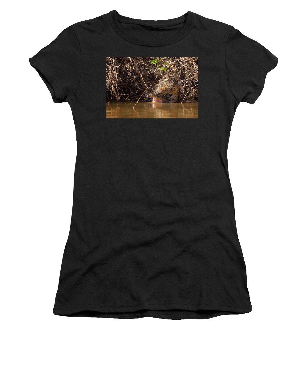 Brazil Women's T-Shirt featuring the photograph Jaguar vs Caiman by David Beebe