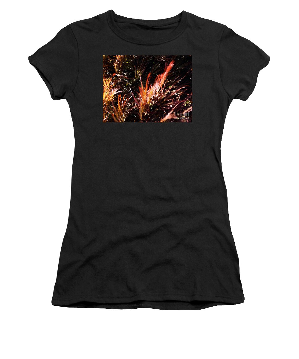 Tree Women's T-Shirt featuring the photograph Japanese Maple by Robyn King
