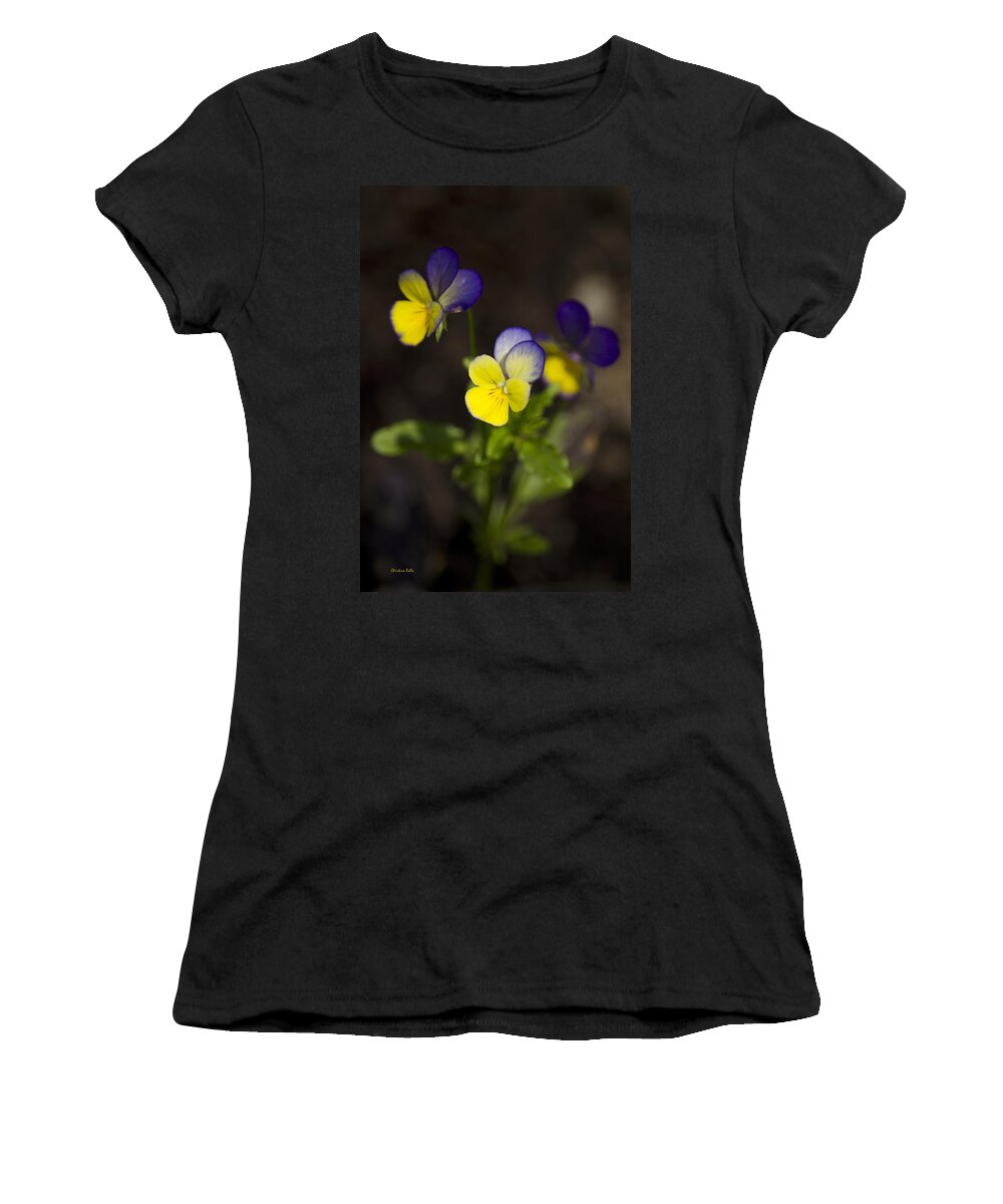 Flowers Women's T-Shirt featuring the photograph Johnny Jump Up - Viola Tricolor Wildflowers by Christina Rollo