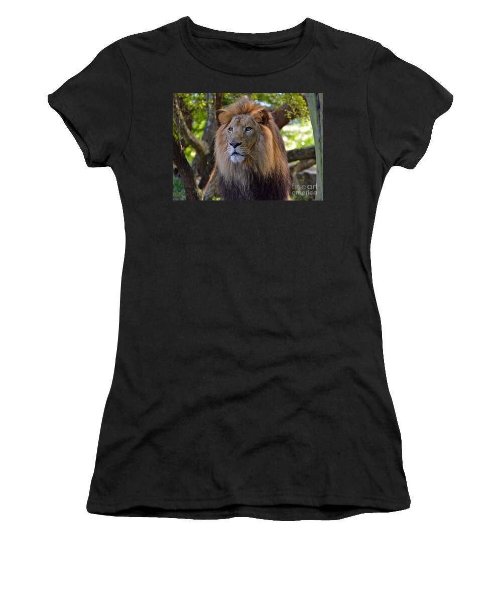 Lion Women's T-Shirt featuring the photograph King Of The Jungle by Carol Bradley
