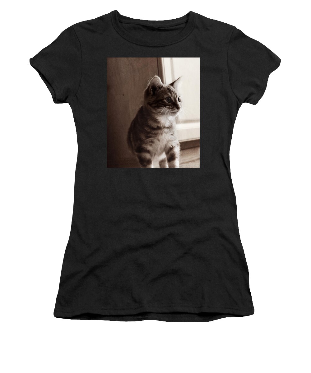 Kitten Women's T-Shirt featuring the photograph Kitten in the Light by Melanie Lankford Photography
