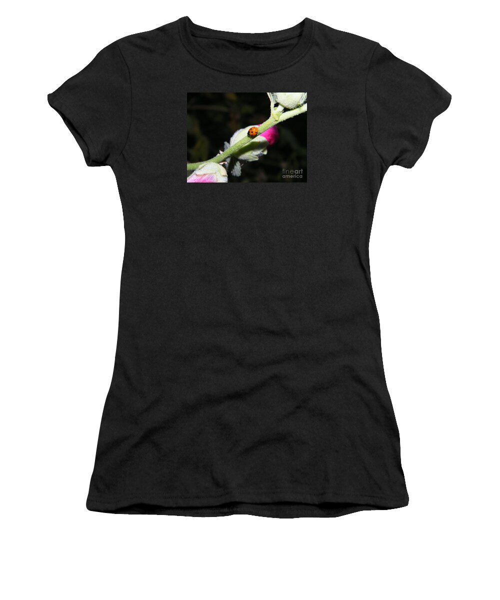 Ladybug Women's T-Shirt featuring the photograph Ladybug Taking an Evening Stroll by Ann E Robson
