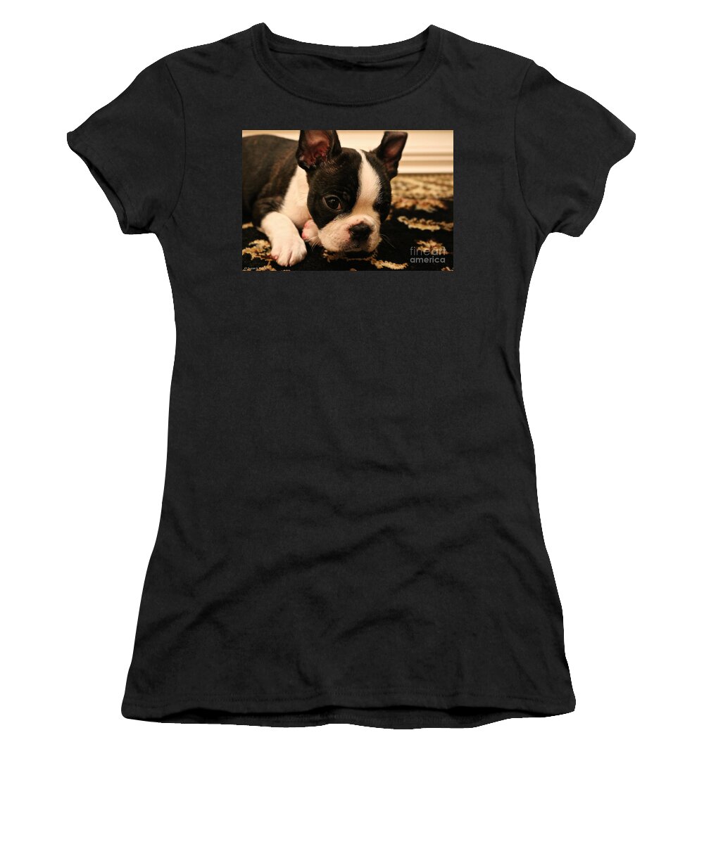 Animal Women's T-Shirt featuring the photograph Late Nights by Susan Herber